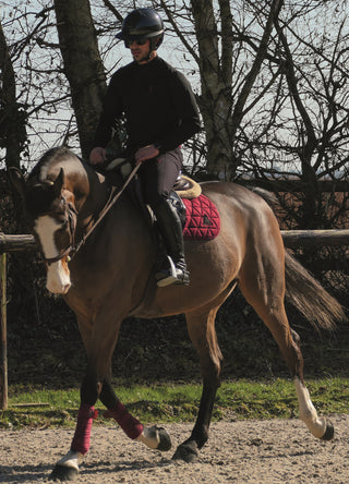 Pantalon d’équitation Entraînement PHYSIO ARA Homme - NOIR