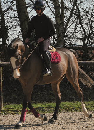 Polo Technique Manches Longues MESH ARA Homme